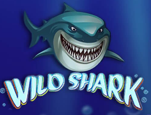 Wild Shark Slot Review-image